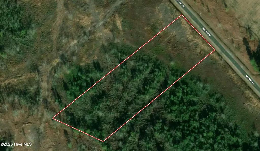 Photo of 0 Near 10769 Old 74, Evergreen, NC 28438 (MLS # 100582484)