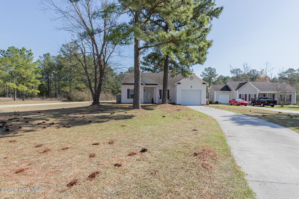 Photo of 101 Boysenberry Fields Road, Maple Hill, NC 28454 (MLS # 100560847)