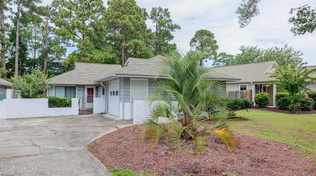 Photo of 103 Holly Tree Lane, Hampstead, NC 28443 (MLS # 100524399)