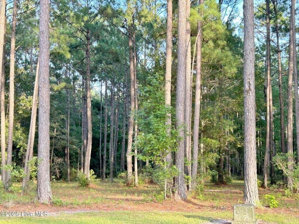 Photo of 379 Mill Creek Drive, Minnesott Beach, NC 28510 (MLS # 100481716)