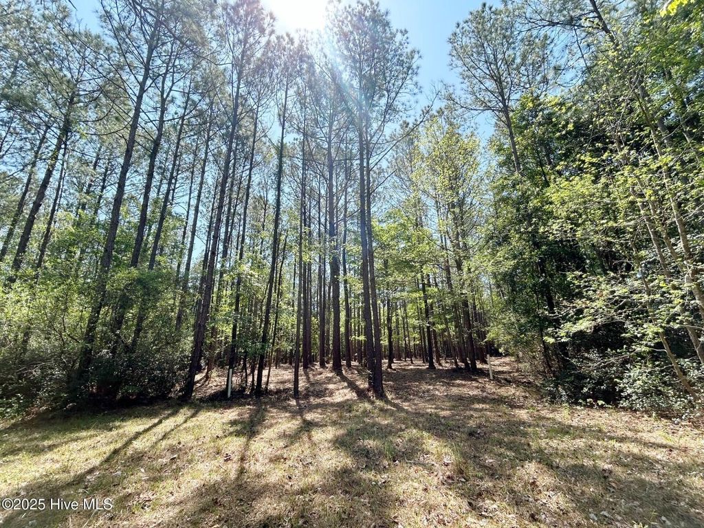 Photo of 379 Mill Creek Drive, Minnesott Beach, NC 28510 (MLS # 100481716)