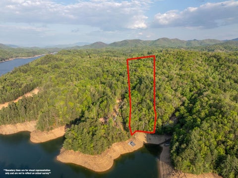 Vacant Land For Sale - 0000 Howard Edwards Road<br/> Graham County, Robbinsville, NC 28771