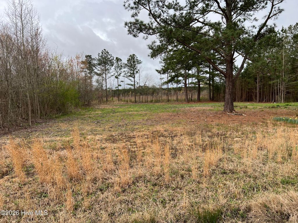 Photo of 4804 Nc Hwy 102, Ayden, NC 28513 (MLS # 100562015)