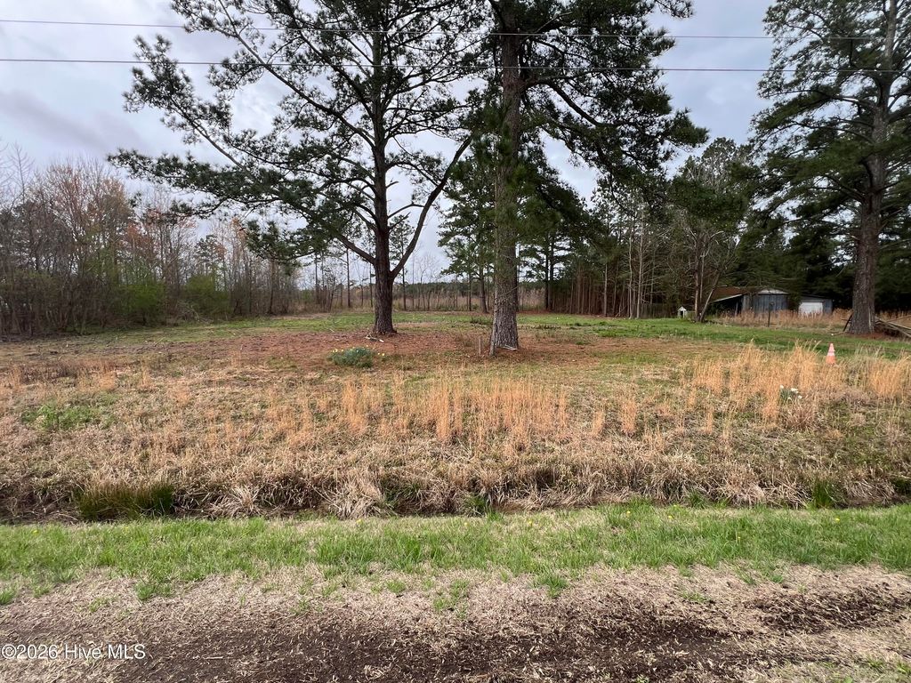 Photo of 4804 Nc Hwy 102, Ayden, NC 28513 (MLS # 100562015)