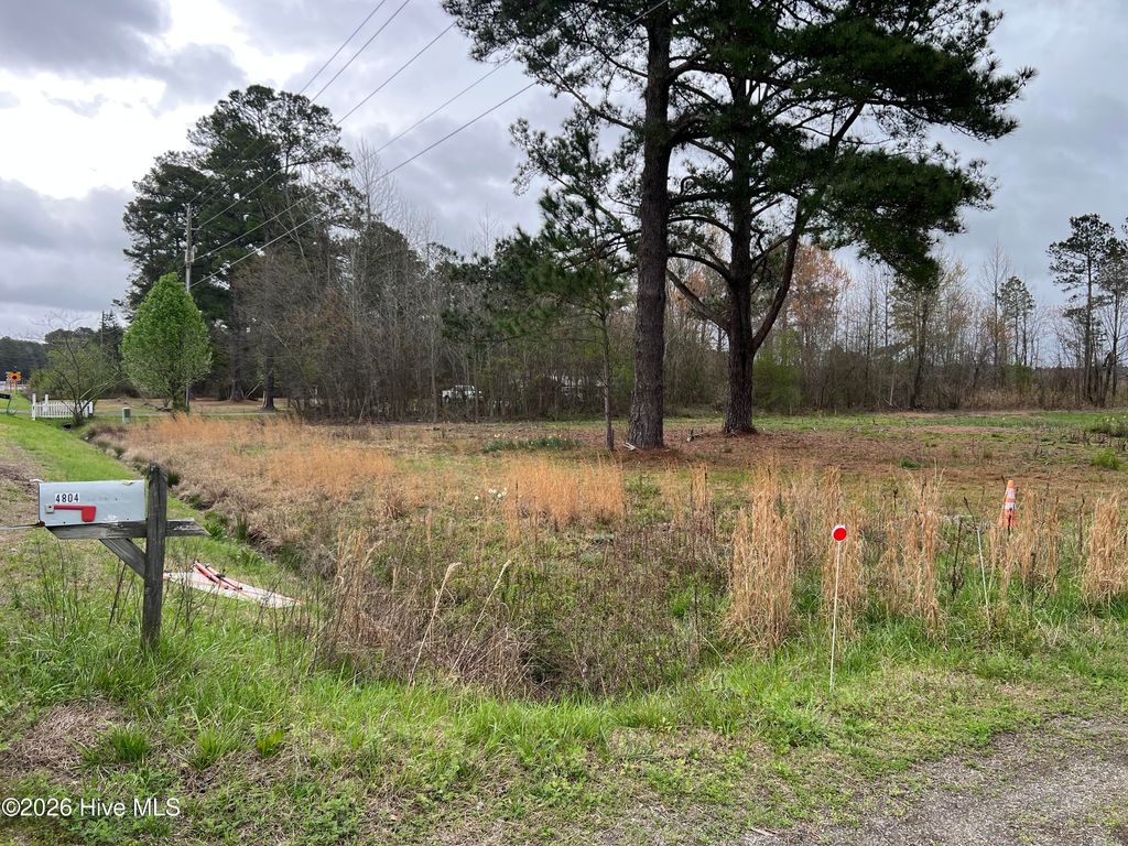 Photo of 4804 Nc Hwy 102, Ayden, NC 28513 (MLS # 100562015)