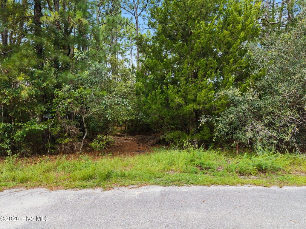 Photo of 4 Pike Road, Boiling Spring Lakes, NC 28461 (MLS # 100599823)