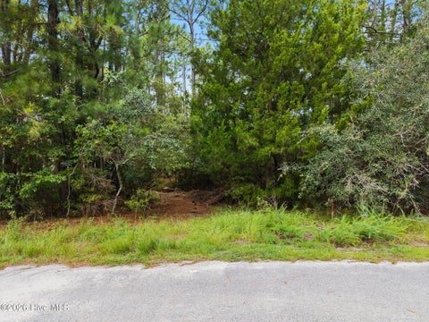 Vacant Land For Sale - 4 Pike Road<br/> Brunswick County, Boiling Spring Lakes, NC 28461