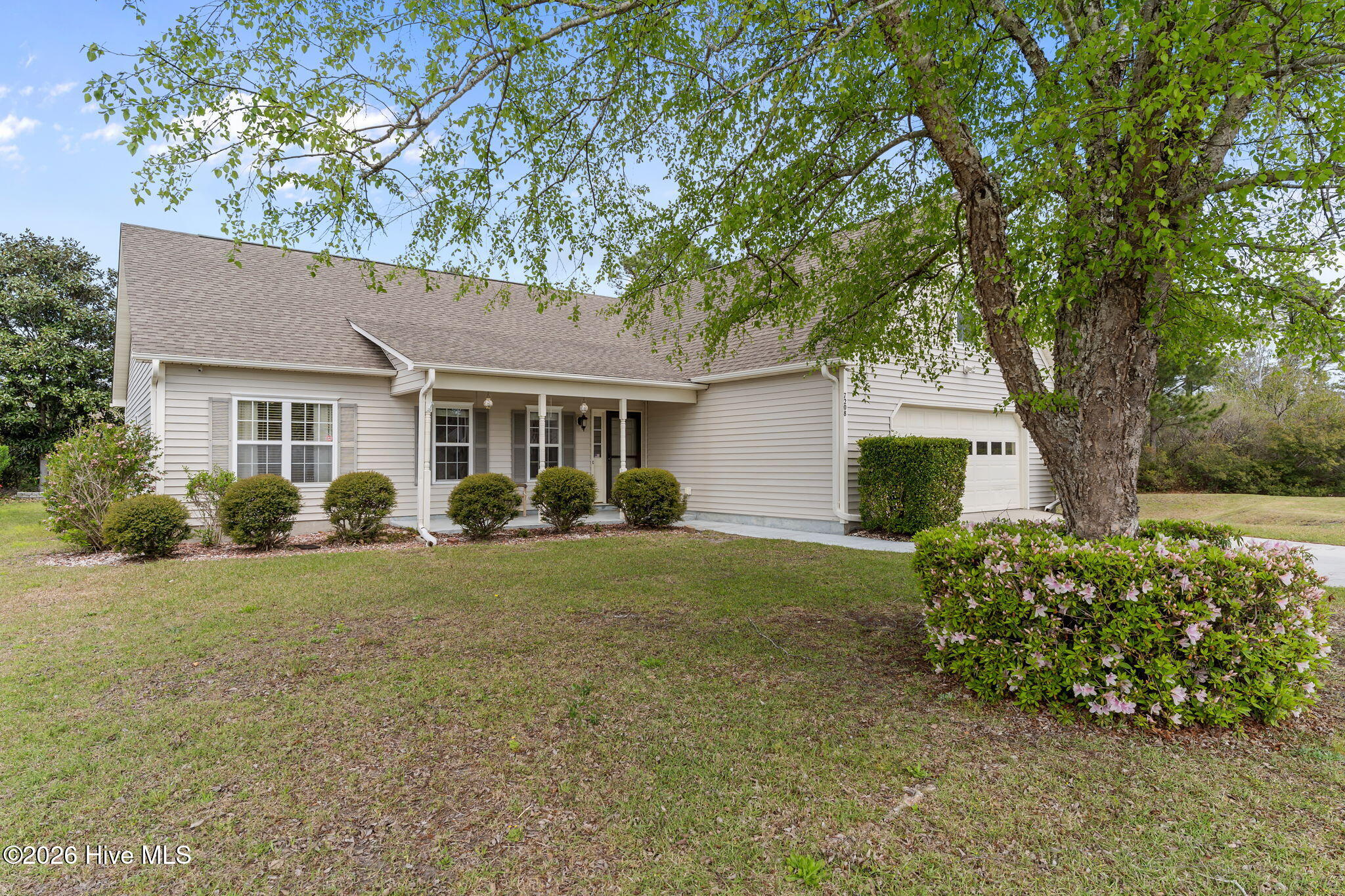 7208 Grizzly Bear Court