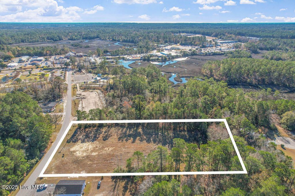Photo of 261 Mulberry Street, Shallotte, NC 28470 (MLS # 100545434)