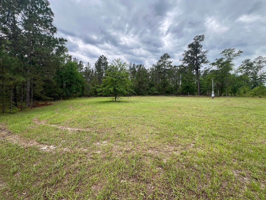 Photo of 1494 Hiltonia Road, Millen, GA 30442 (MLS # 555592)