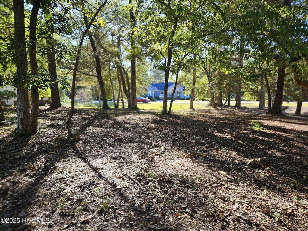 Photo of 3218 Channelside Drive SW, Supply, NC 28462 (MLS # 100539061)