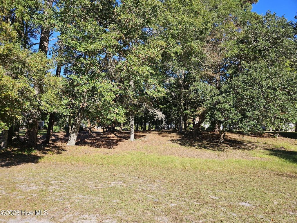 Photo of 3218 Channelside Drive SW, Supply, NC 28462 (MLS # 100539061)