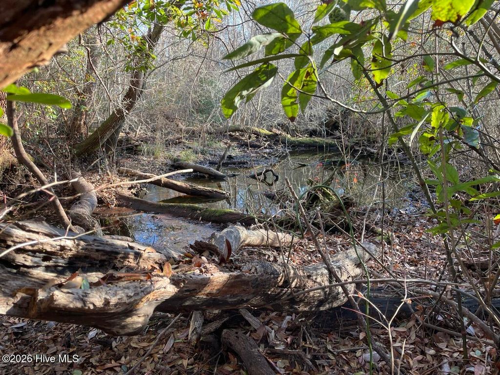 Photo of 0 White Oak River Road, Maysville, NC 28555 (MLS # 100549470)