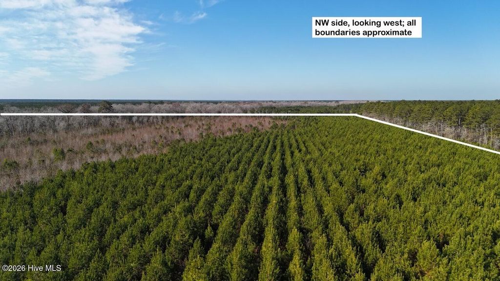 Photo of 0 White Oak River Road, Maysville, NC 28555 (MLS # 100549470)