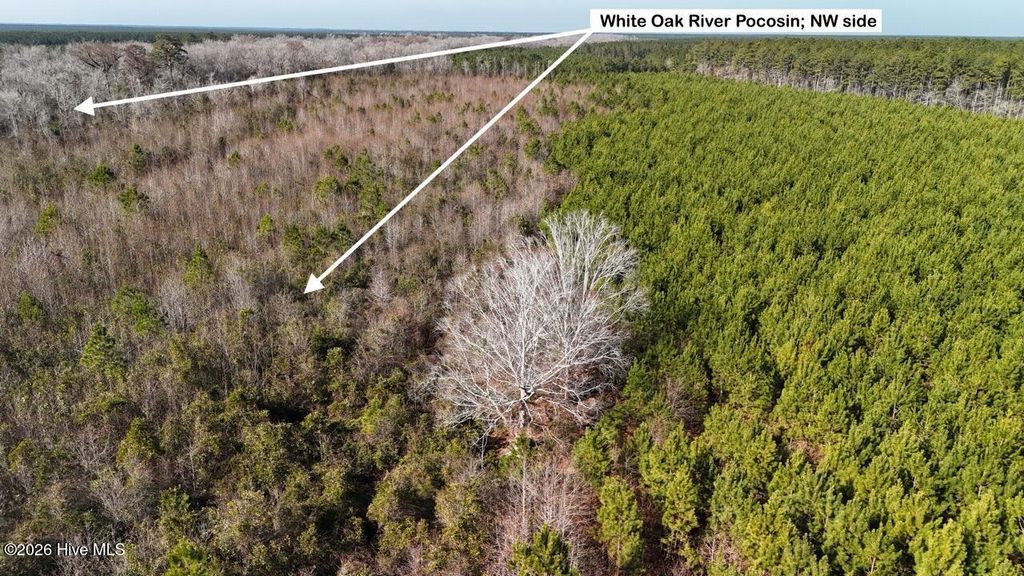 Photo of 0 White Oak River Road, Maysville, NC 28555 (MLS # 100549470)