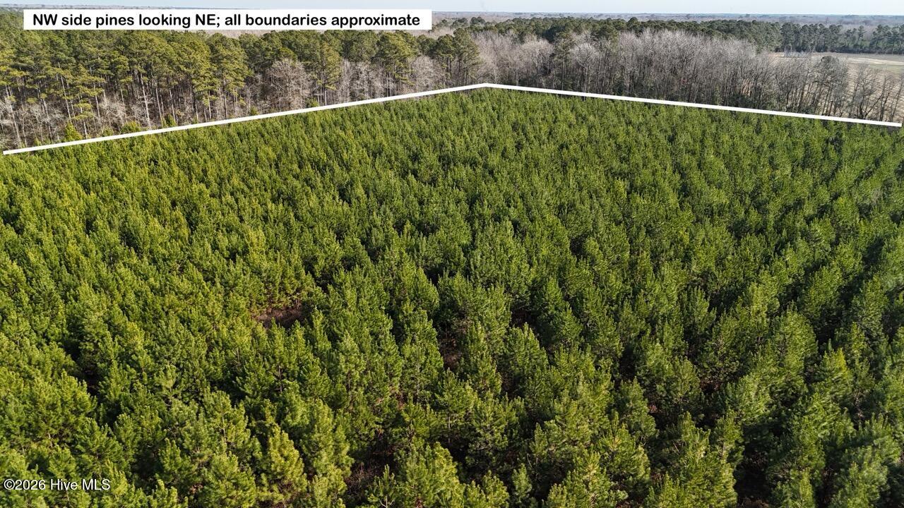 0 White Oak River Road