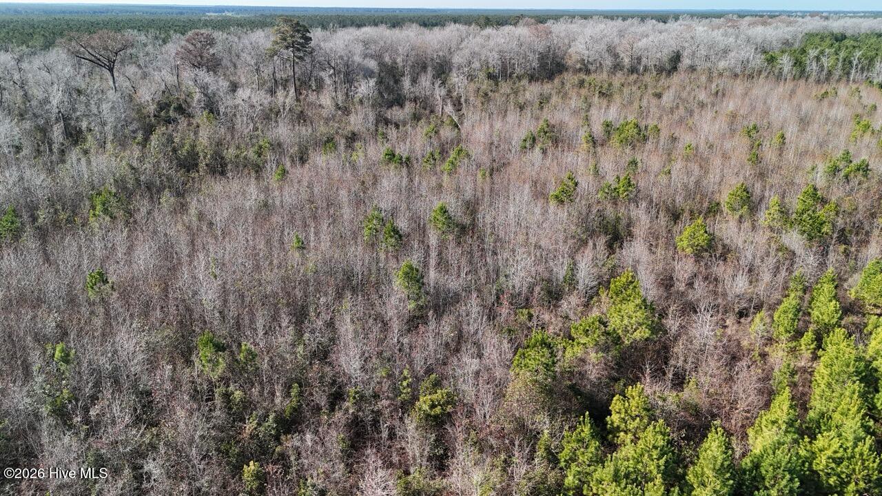 0 White Oak River Road