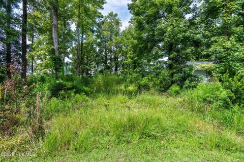 Tiny photo for 176 Sybil Street Street, Jacksonville, NC 28540 (MLS # 100602249)