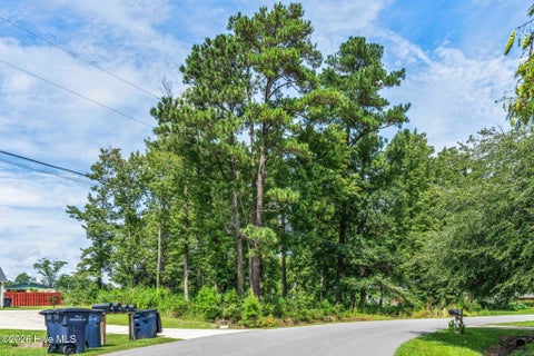Tiny photo for 176 Sybil Street Street, Jacksonville, NC 28540 (MLS # 100602249)