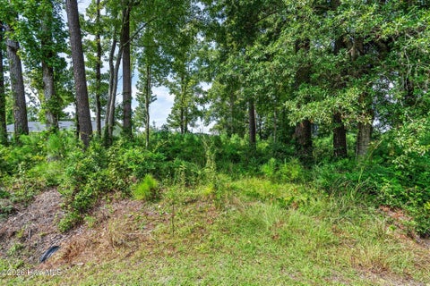 Tiny photo for 176 Sybil Street Street, Jacksonville, NC 28540 (MLS # 100602249)