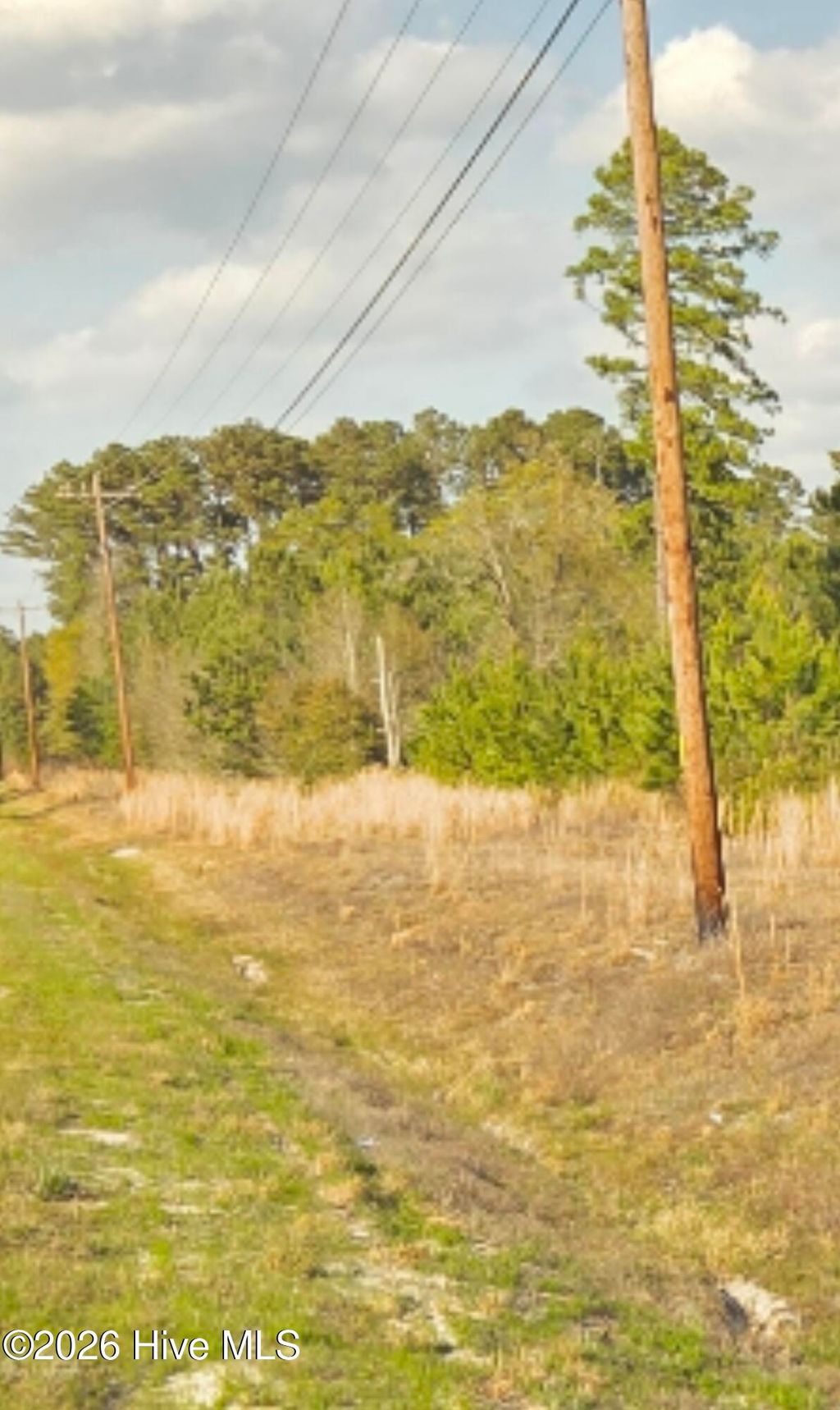 Photo of 731 Macedonia Church Road, Evergreen, NC 28438 (MLS # 100564556)