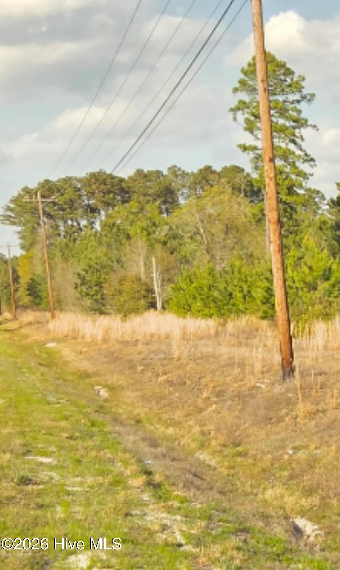 Near 731 Macedonia Church Road, Evergreen, NC, 28438