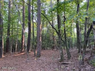 91a Palomino Road