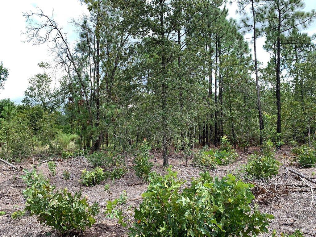 691 Bettis Academy Road