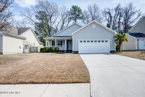 Photo of 134 Meadow View Drive, New Bern, NC 28562 (MLS # 100559454)