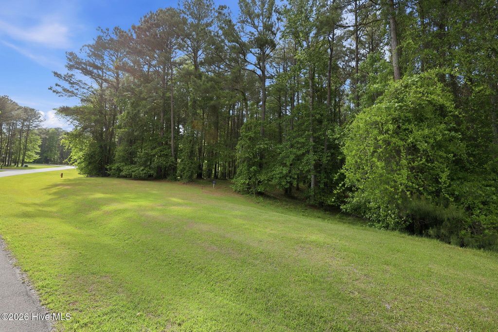 Photo of 830 Mill Creek Lot 54 Drive, Minnesott Beach, NC 28510 (MLS # 100572039)