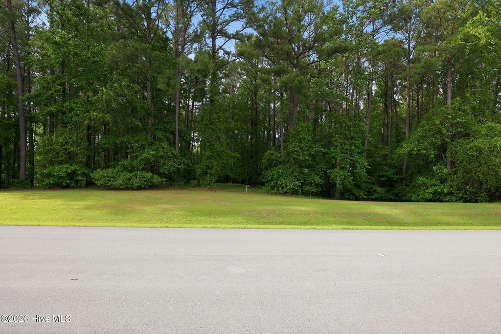 Photo of 830 Mill Creek Lot 54 Drive, Minnesott Beach, NC 28510 (MLS # 100572039)