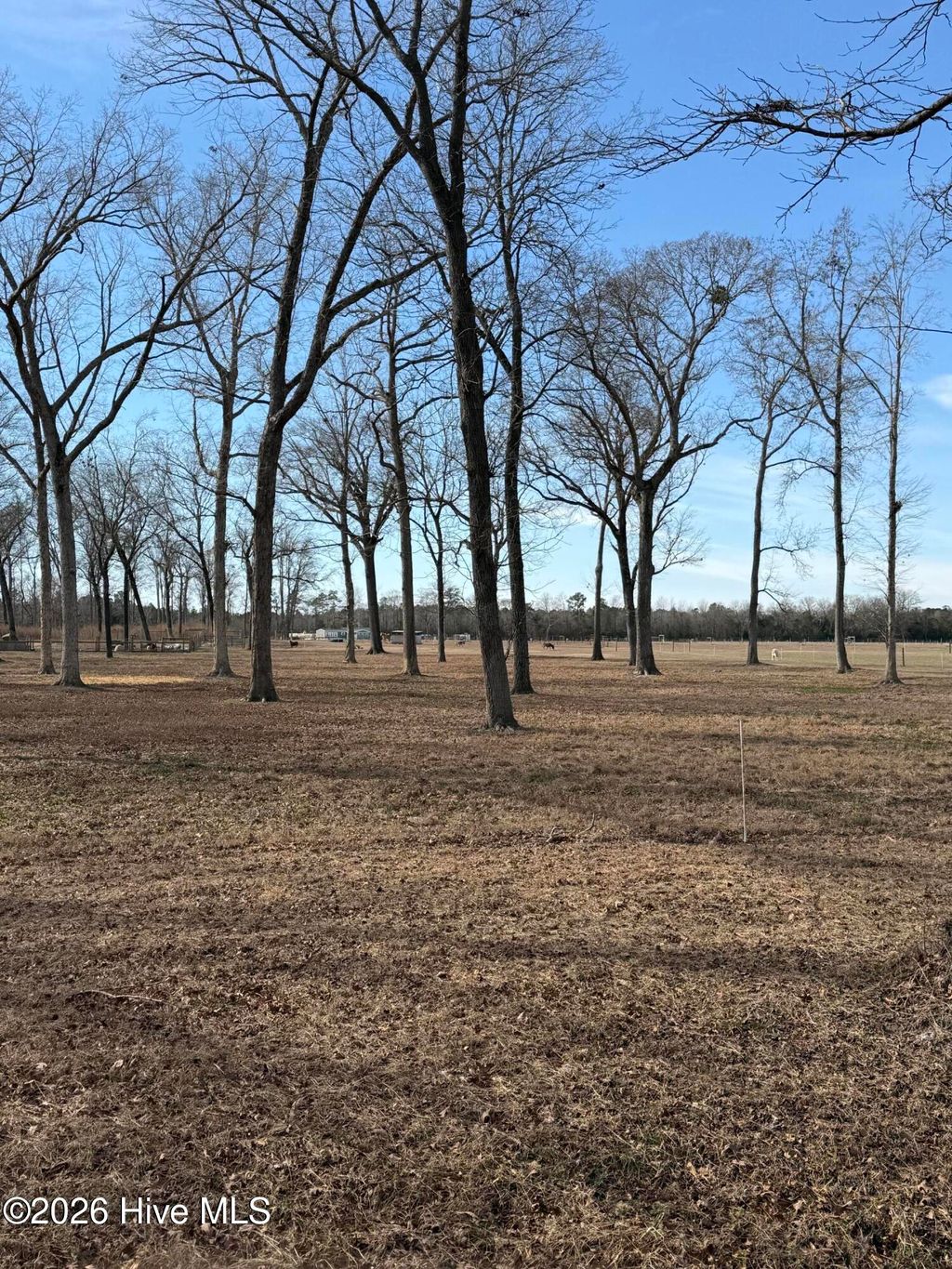 Photo of 5093 Owen Hill Road, Elizabethtown, NC 28337 (MLS # 100553676)