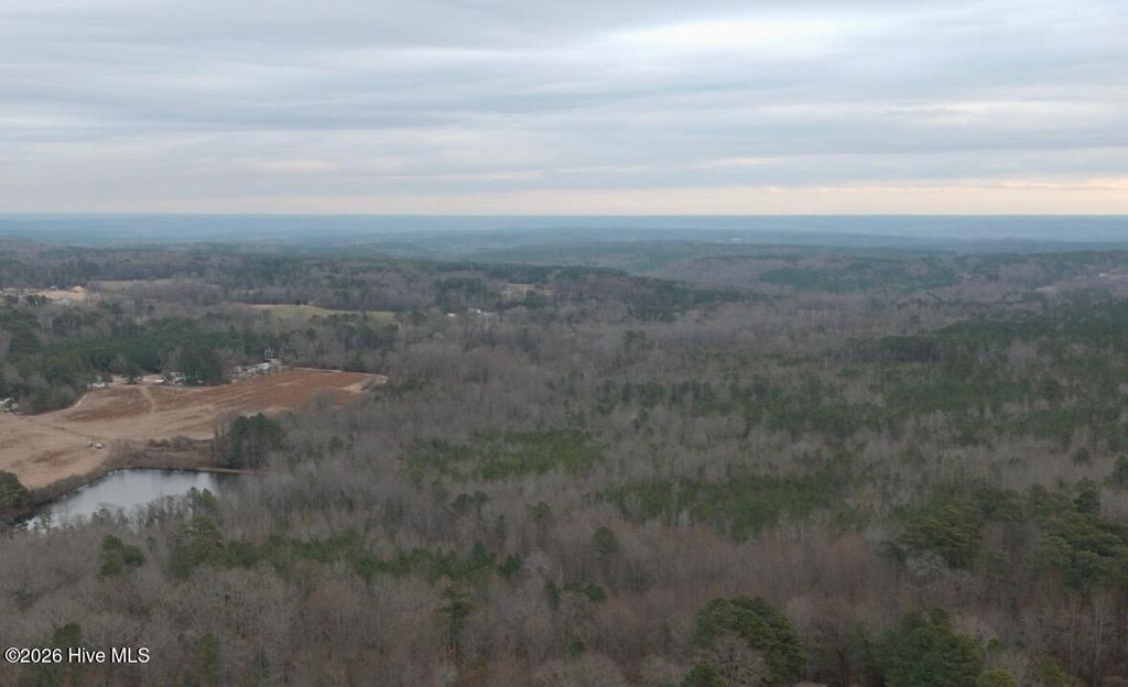 Photo of 3 Bradley Road, Broadway, NC 27505 (MLS # 100550795)