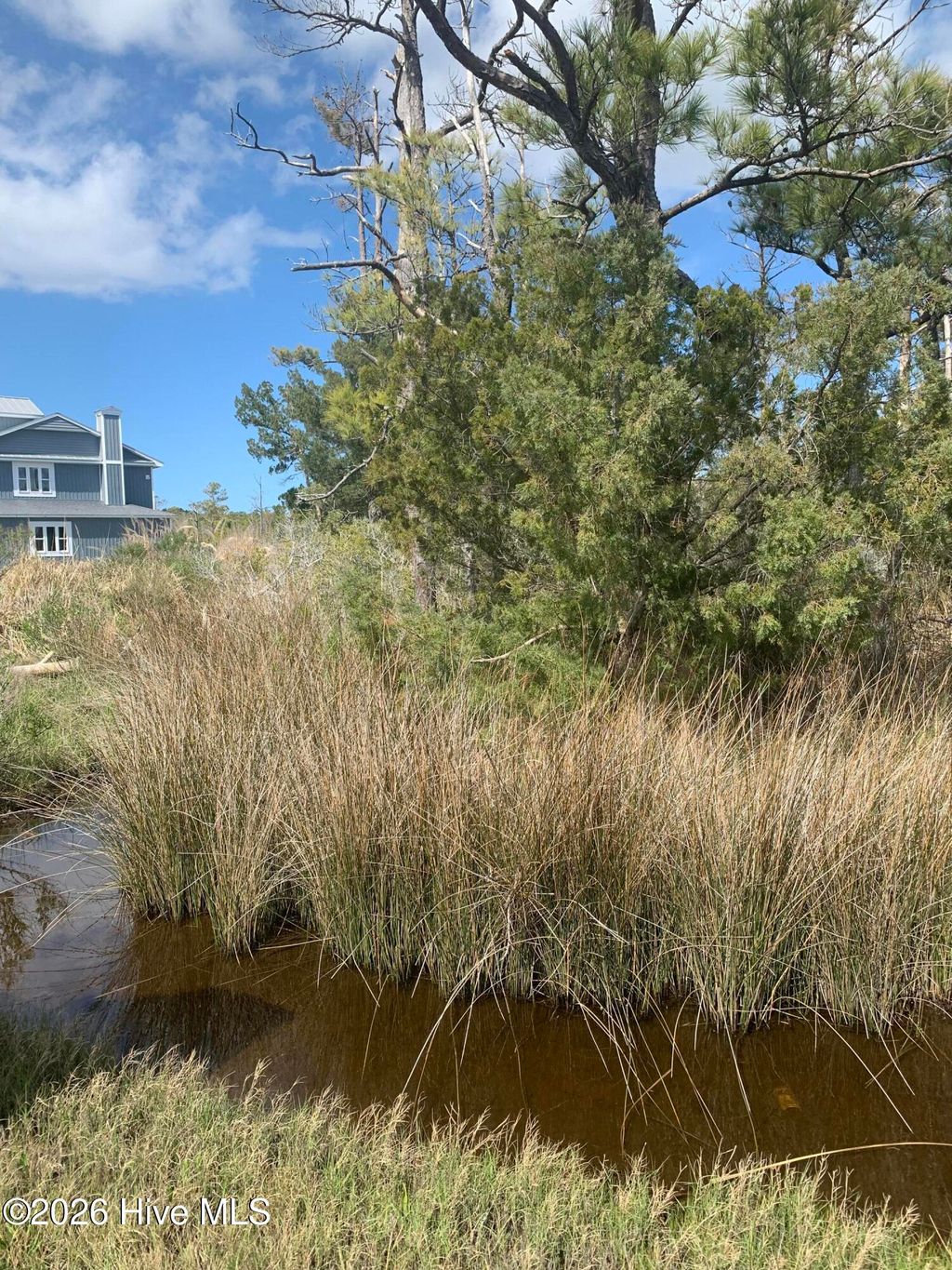 Photo of 505 Shell Hill Road, Sea Level, NC 28577 (MLS # 100563521)