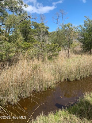 505 SHELL HILL RD, SEALEVEL, NC 28577 - Image 6550917ca0ea2e936df91380d5ee02a1/3516989907