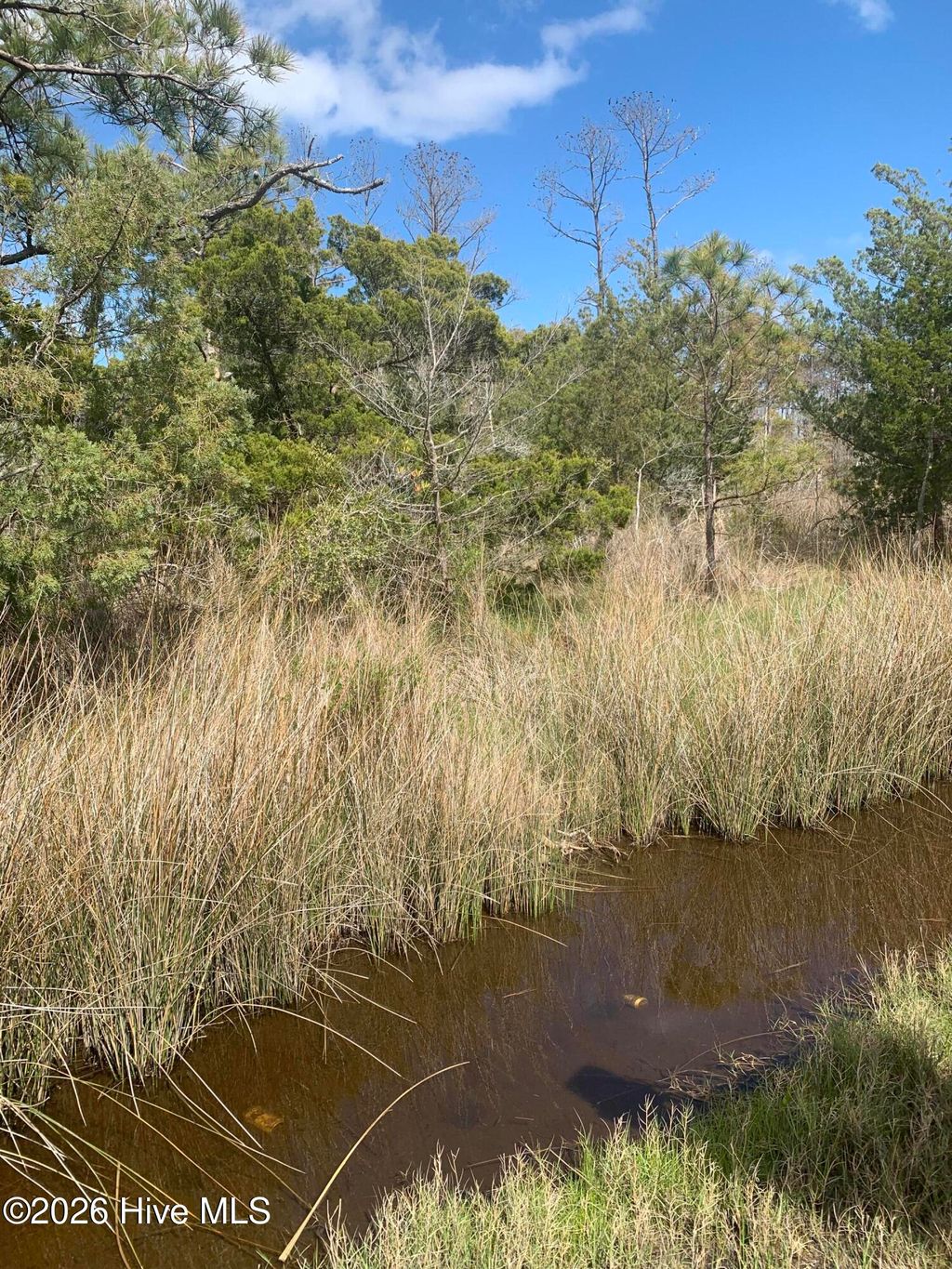 Photo of 505 Shell Hill Road, Sea Level, NC 28577 (MLS # 100563521)