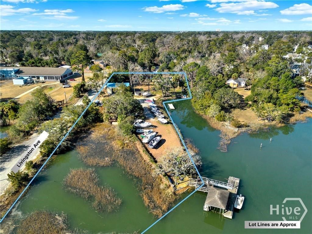 Photo of 2724 Livingston Avenue, Savannah, GA 31406 (MLS # SA360190)