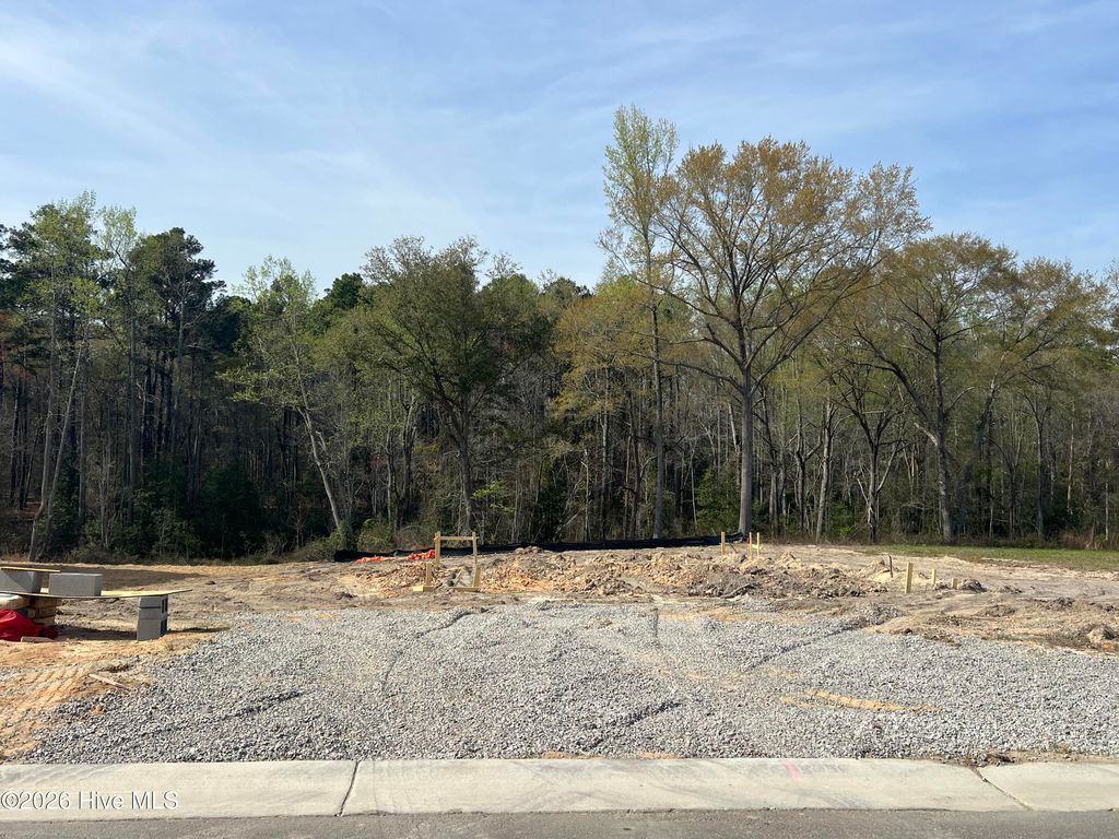 Photo of 299 Happy Trail Road, Aberdeen, NC 28315 (MLS # 100565228)