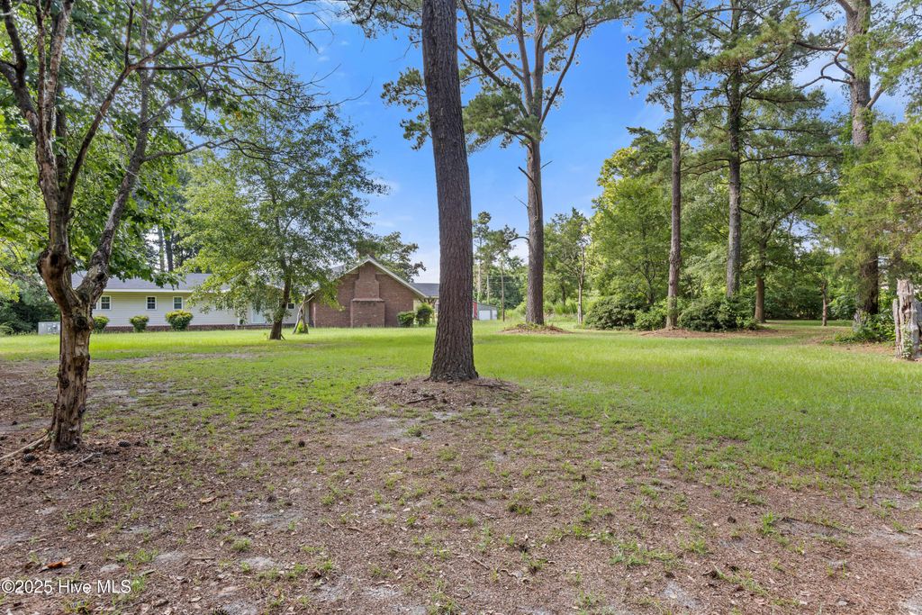 Photo of 653 Seth Turner Road, Albertson, NC 28508 (MLS # 100553629)