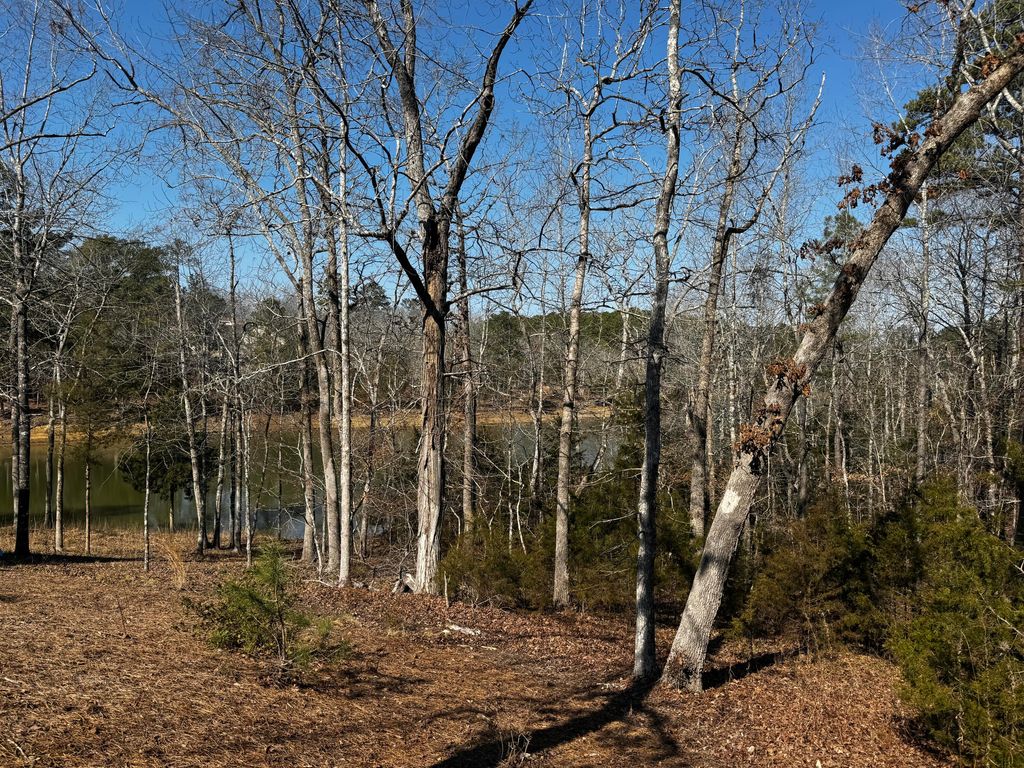Photo of 301 Pike Point, McCormick, SC 29835 (MLS # 551919)