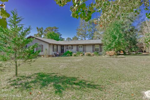 Homes For Sale - 451 Tracy Brown Road<br/> Magnolia, NC 28453