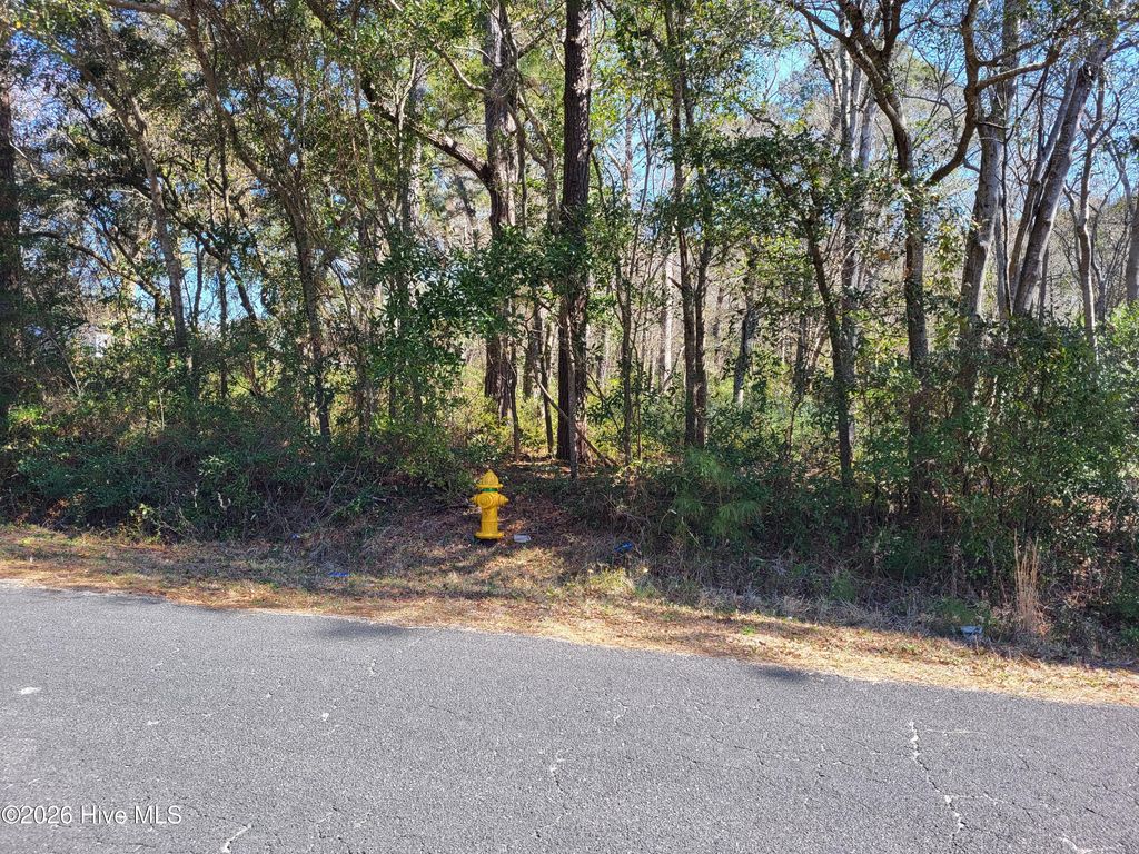 Photo of 2836 Shell Landing Road SW, Supply, NC 28462 (MLS # 100558131)