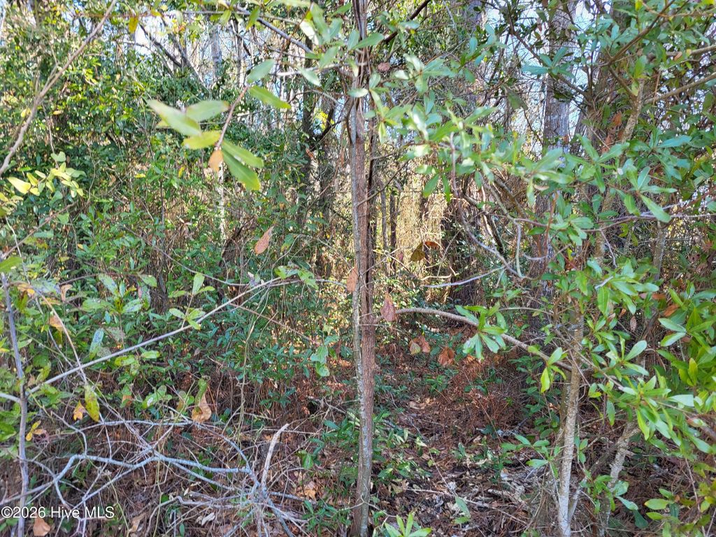 Photo of 2836 Shell Landing Road SW, Supply, NC 28462 (MLS # 100558131)