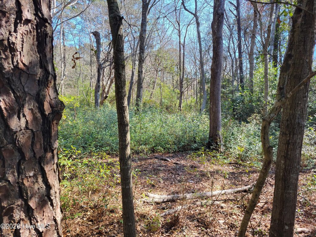 Photo of 2836 Shell Landing Road SW, Supply, NC 28462 (MLS # 100558131)