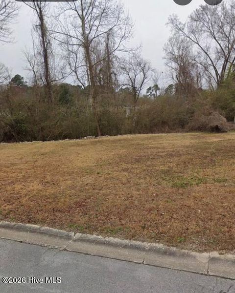 Photo of 303 Long Acres Drive, Jacksonville, NC 28546 (MLS # 100568319)