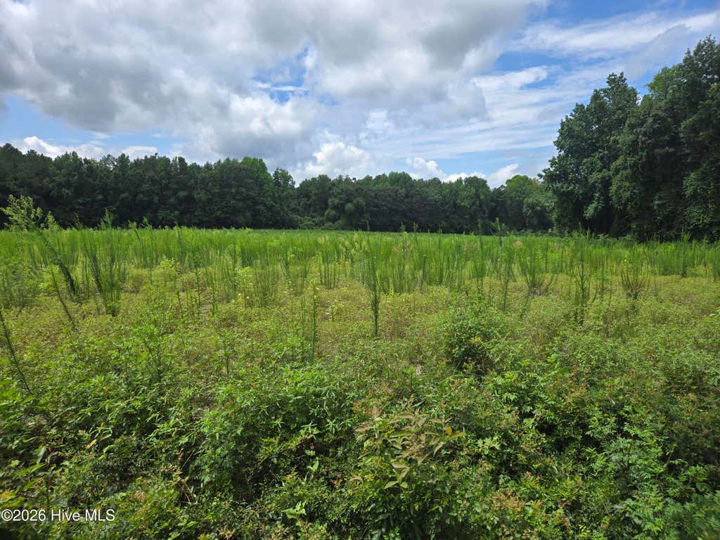 Photo of 0 Ballard Road, Williamston, NC 27892 (MLS # 100593404)