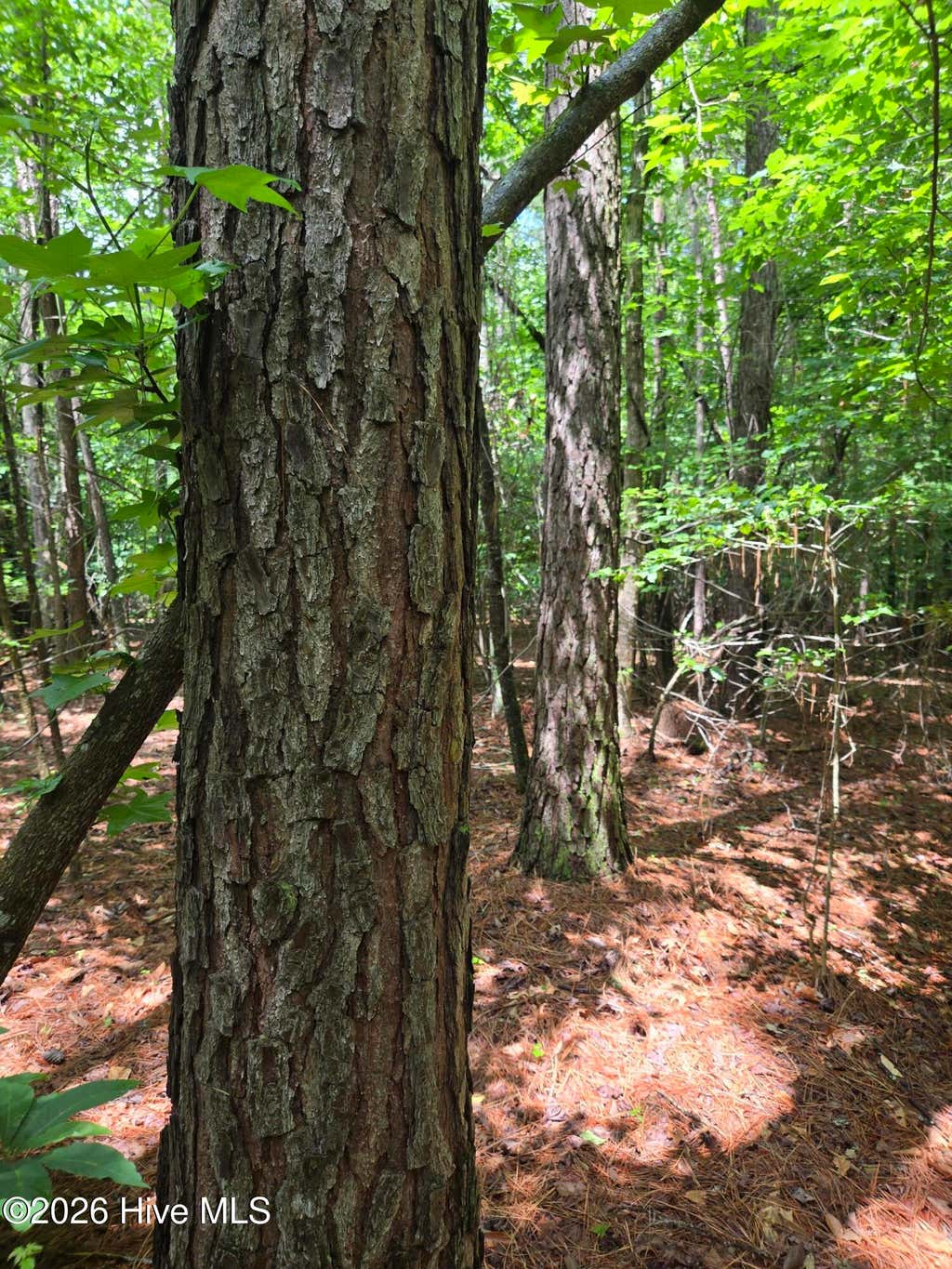 Photo of 0 Ballard Road, Williamston, NC 27892 (MLS # 100593404)