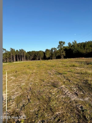LOT 15 TBD GIBSON ROAD, LAURINBURG, NC 28352 - Image 65ba7499b3cbd7a871f37a9cfbaaa9ec/1916088607