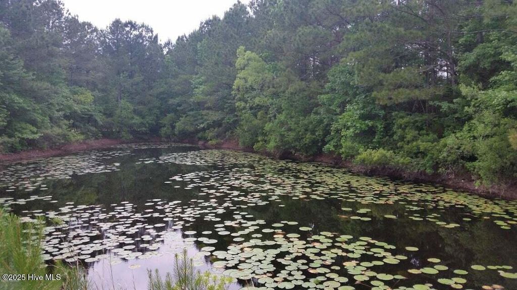 Photo of 1934 Gordon Acres Drive, Wilmington, NC 28411 (MLS # 100560494)