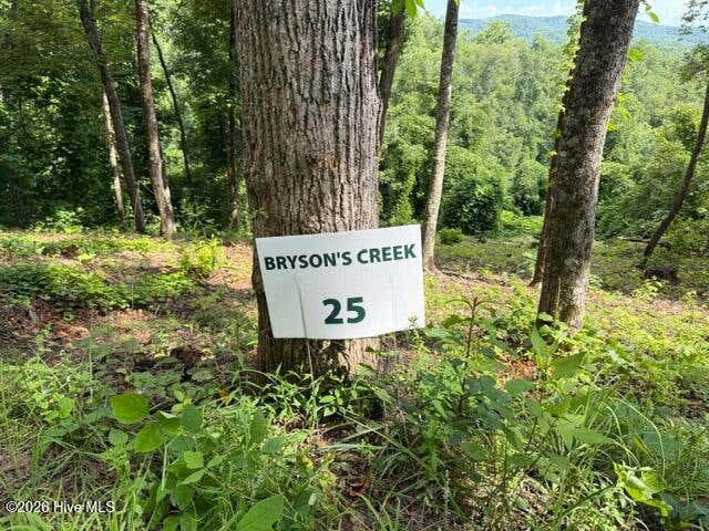 Photo of 25 Bryson Creek Drive, Murphy, NC 28906 (MLS # 100589582)